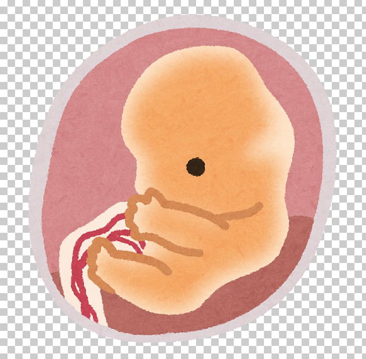 Cancer Pregnancy Fetus Birth Child PNG, Clipart, Birth, Blood, Cancer, Child, Childbirth Free PNG Download