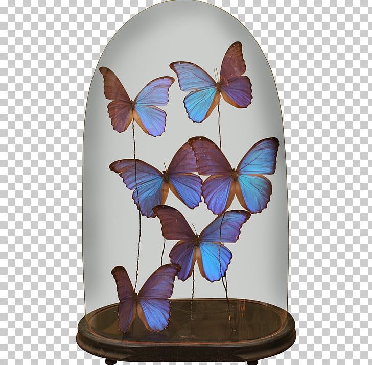 Butterfly Daytime Ansichtkaart Morning Birthday PNG, Clipart, Animal, Animation, Ansichtkaart, Arts And Crafts, Arts Crafts Free PNG Download