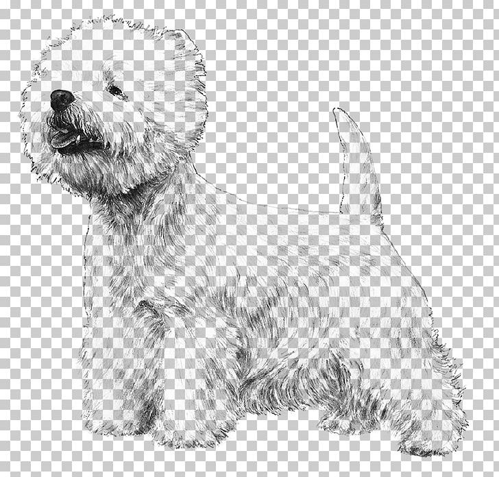 West Highland White Terrier Cairn Terrier Yorkshire Terrier Scottish Terrier Black Russian Terrier PNG, Clipart, Animals, Carnivoran, Companion Dog, Dog Breed, Dog Like Mammal Free PNG Download