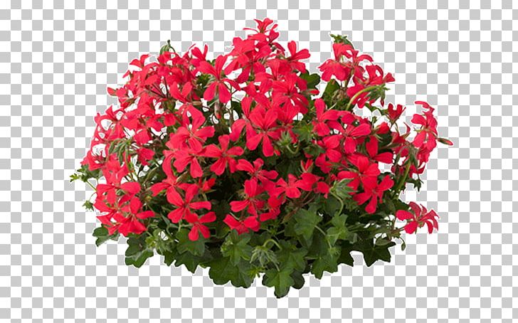 Cut Flowers Bruidsboeket Nosegay Floral Design PNG, Clipart, Annual Plant, Bride, Bruidsboeket, Chrysanths, Color Free PNG Download