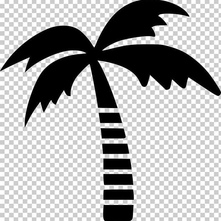 Tree Arecaceae Computer Icons PNG, Clipart, Arecaceae, Arecales, Black And White, Branch, Cdr Free PNG Download