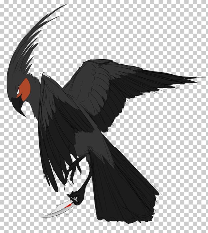 Vulture Beak Feather PNG, Clipart, Animals, Beak, Bird, Bird Of Prey, Character Free PNG Download