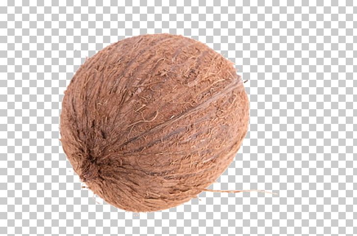 Wool PNG, Clipart, Food, Fruit Nut, Green Walnut, Hickory, Nut Free PNG Download