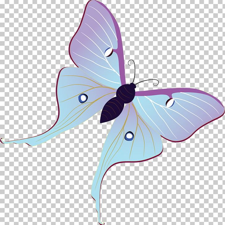 Butterfly Insect Pollinator Arthropod Moth PNG, Clipart, Arthropod, Brush Footed Butterfly, Butterflies And Moths, Butterfly, Flower Bouquet Free PNG Download