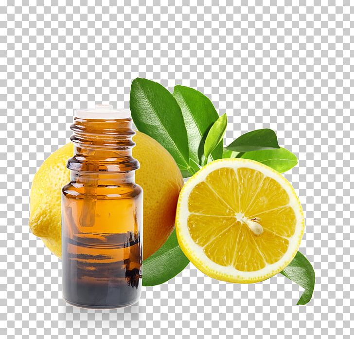 Essential Oil Huile Essentielle De Citron Lemon Ravensara Aromatica PNG, Clipart, Almond Oil, Aroma Compound, Aromatherapy, Bergamot Orange, Citric Acid Free PNG Download