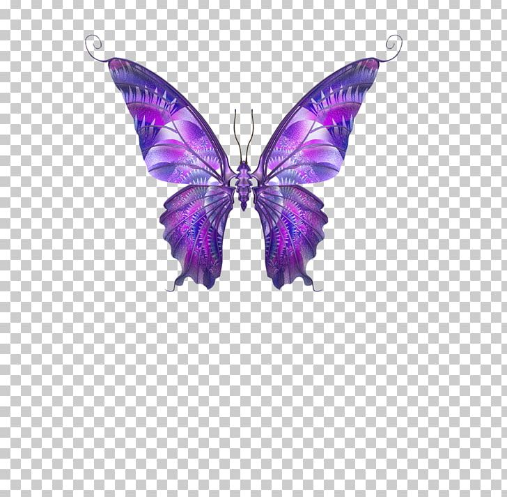 Butterfly Papillon Dog Hemiargus Ceraunus PNG, Clipart, Brush Footed Butterfly, Butterflies, Butterfly Group, Color, Fine Free PNG Download