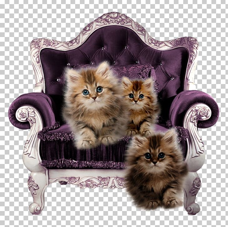Club Chair Table Couch Throne PNG, Clipart, Carnivoran, Cat, Cat Like Mammal, Chair, Club Chair Free PNG Download