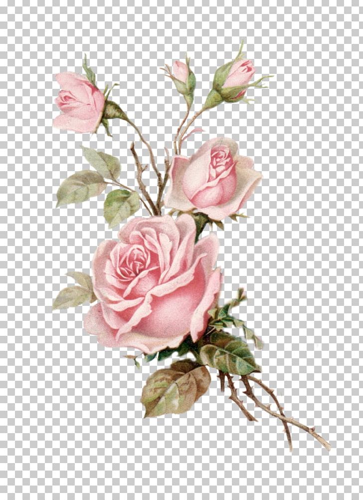 Flower Bouquet Garden Roses Floral Design PNG, Clipart, Art, Artificial Flower, Botanical Illustration, Branch, Cut Flowers Free PNG Download