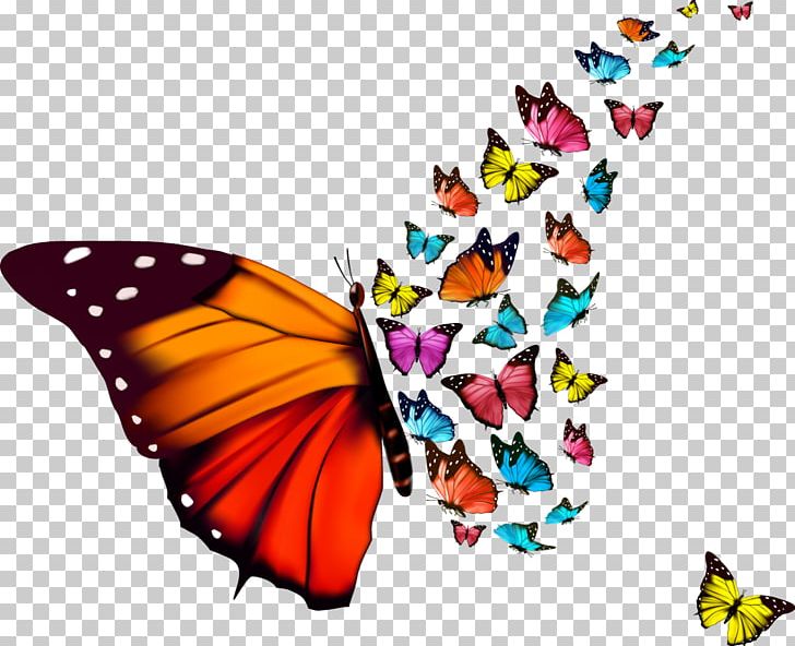 Monarch Butterfly Drawing PNG, Clipart, Brush Footed Butterfly, Butterfly, Can Stock Photo, Drawing, Encapsulated Postscript Free PNG Download