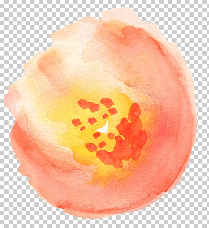 Transparent Watercolor Watercolor Painting Flower PNG, Clipart, Aesthetics, Art, Author, Christianity, Clip Art Free PNG Download