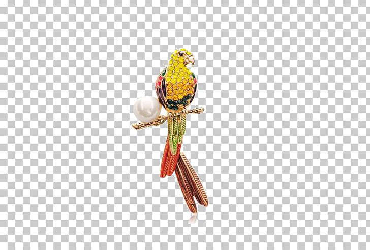 Used Good Suit Man Fibula Clothing PNG, Clipart, Animals, Beak, Bird, Brooch, Brooches Free PNG Download