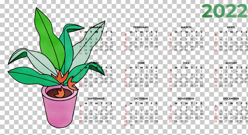 Flower Leaf Font Calendar System Meter PNG, Clipart, Biology, Calendar System, Flower, Leaf, Meter Free PNG Download