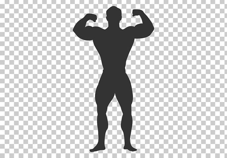 Biceps Muscle Bodybuilding PNG, Clipart, Arm, Biceps, Bodybuilder, Bodybuilding, City Skyline Vector Free PNG Download