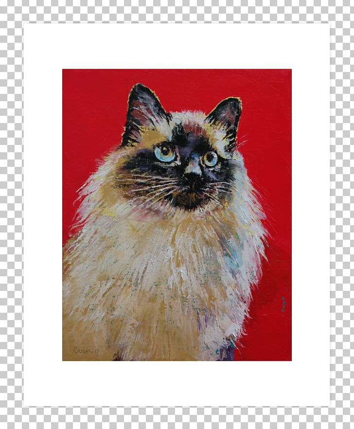 Birman Balinese Cat Whiskers Kitten Siamese Cat Png Clipart
