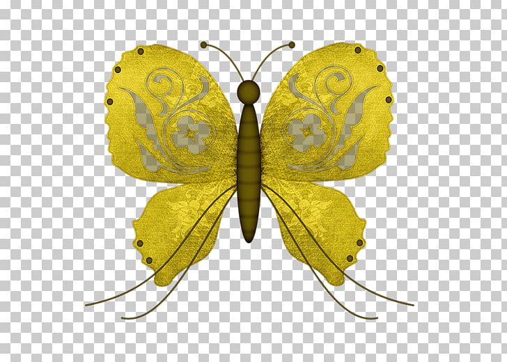 Butterfly PNG, Clipart, Adobe Illustrator, Animal, Brush Footed Butterfly, Encapsulated Postscript, Gold Free PNG Download