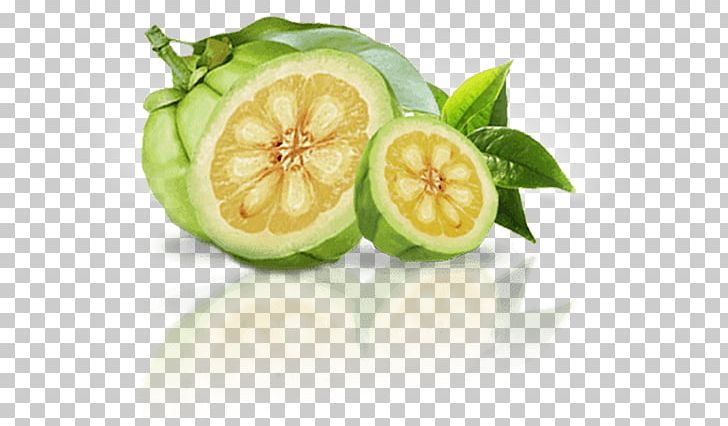 Dietary Supplement Garcinia Cambogia Weight Loss Anorectic Appetite PNG, Clipart, Adipose Tissue, Anorectic, Antiobesity Medication, Appetite, Citrus Free PNG Download