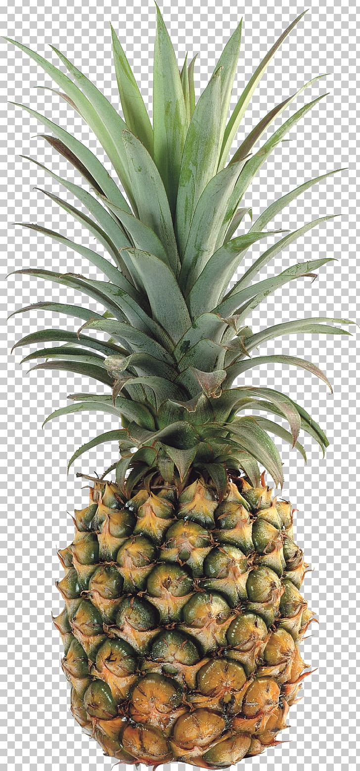 Upside-down Cake Pineapple Tropical Fruit PNG, Clipart, Ananas, Bromeliaceae, Computer Icons, Download, Flowerpot Free PNG Download