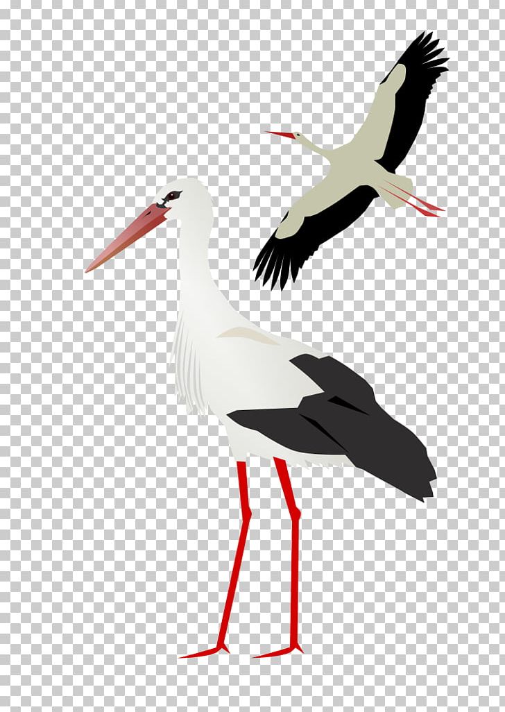 White Stork PNG, Clipart, Animals, Beak, Bird, Black Stork, Ciconia Free PNG Download