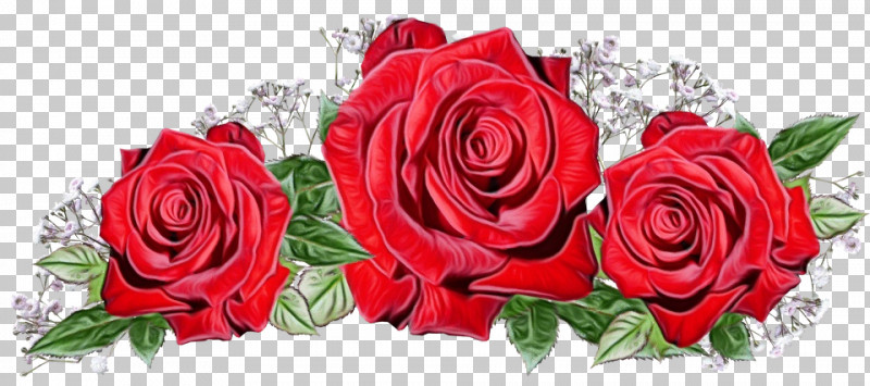 Floral Design PNG, Clipart, Artificial Flower, Cabbage Rose, Cut Flowers, Floral Design, Flower Free PNG Download