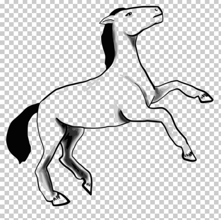 Arabian Horse Pony Dog Mustang PNG, Clipart, Animals, Arabian Horse, Arabian Horse Association, Artwork, Black Free PNG Download