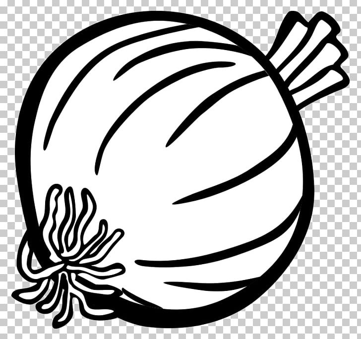 Red Onion PNG, Clipart, Art, Artwork, Black, Black And White, Circle Free PNG Download