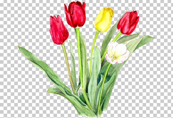 Tulipa Gesneriana Watercolor Painting Designer Cut Flowers PNG, Clipart, Creative Work, Floral Design, Floristry, Flower, Flower Arranging Free PNG Download