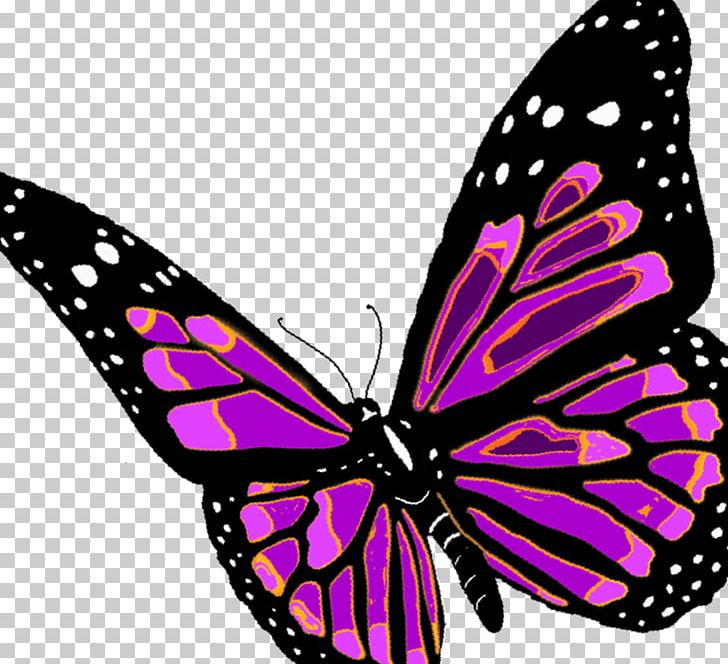 Monarch Butterfly Pieridae Nymphalidae Pattern PNG, Clipart, Arthropod, Brush Footed Butterfly, Butterfly, Butterfly Clipart, Fly Free PNG Download
