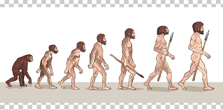 Neanderthal Human Evolution The Evolution Of Man PNG, Clipart, Ape, Archaic Humans, Evolution, Evolution Of Man, Girl Free PNG Download