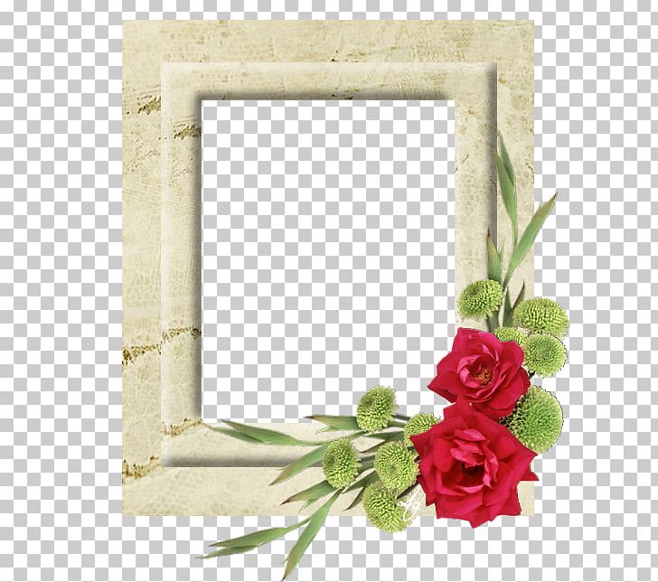 Rose Frames God Photography Floral Design PNG, Clipart, Blog, Cut Flowers, Decor, Education, Flora Free PNG Download
