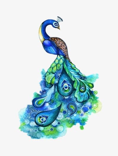 Peacock PNG, Clipart, Abstract, Animal, Art, Backgrounds, Beautiful Free PNG Download