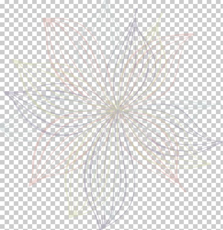 Petal Symmetry Pattern Line Leaf PNG, Clipart, Art, Black And White, Circle, Drawing, Flor Free PNG Download