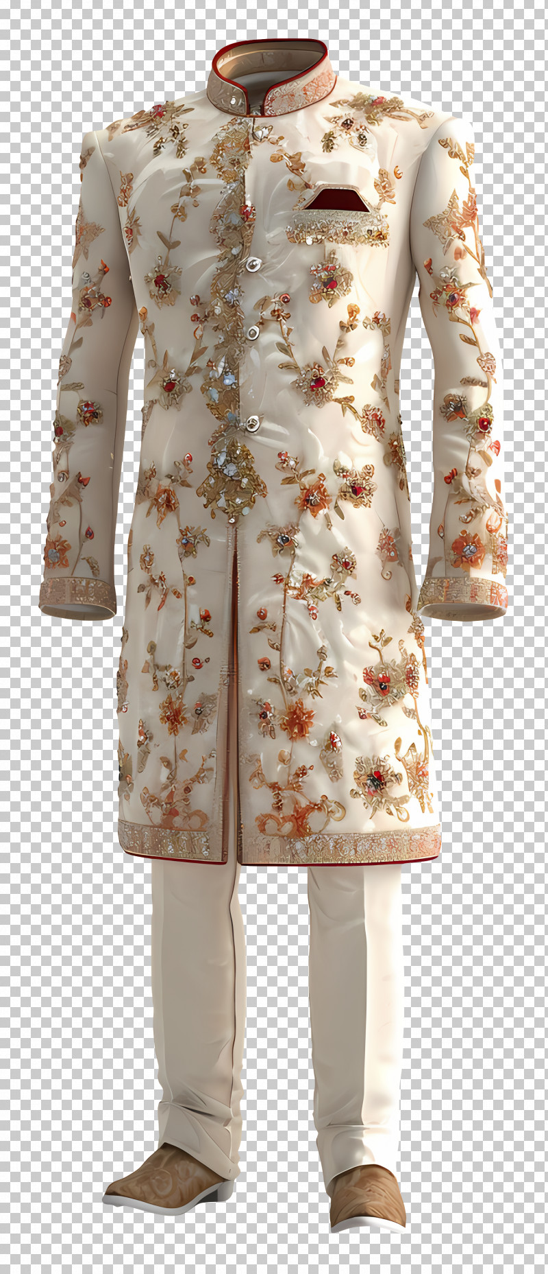 Indian Formal Wear - Traditional Embroidered Suit PNG