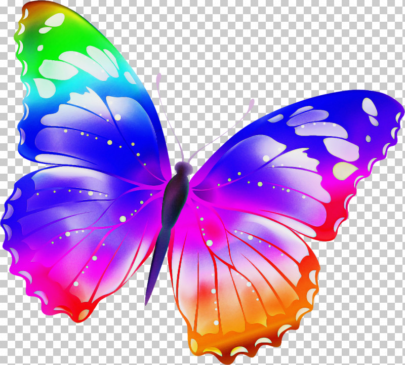 Butterfly Insect Moths And Butterflies Pollinator Purple PNG, Clipart, Brushfooted Butterfly, Butterfly, Insect, Lycaenid, Moths And Butterflies Free PNG Download