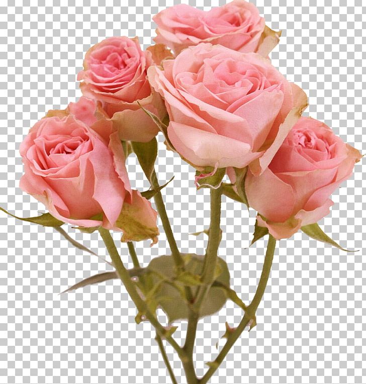 Artificial Flower Color Flower Bouquet Birth Flower PNG, Clipart, Artificial Flower, Birth Flower, Bud, Carnation, Color Free PNG Download
