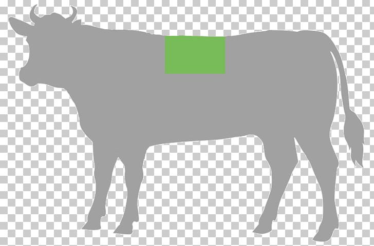 Cut Of Beef Steak Cattle Meat PNG, Clipart, Beef, Bull, Butcher, Cow Goat Family, Cut Of Beef Free PNG Download