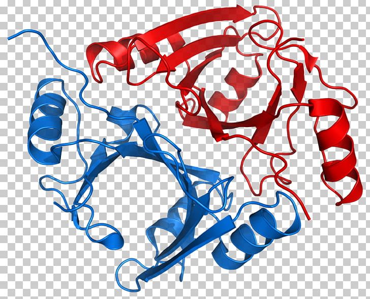 Methylmalonyl-CoA Mutase Methylmalonyl CoA Epimerase Epimerase And Racemase Coenzyme A PNG, Clipart, Academic, Area, Art, Artwork, Beta Oxidation Free PNG Download