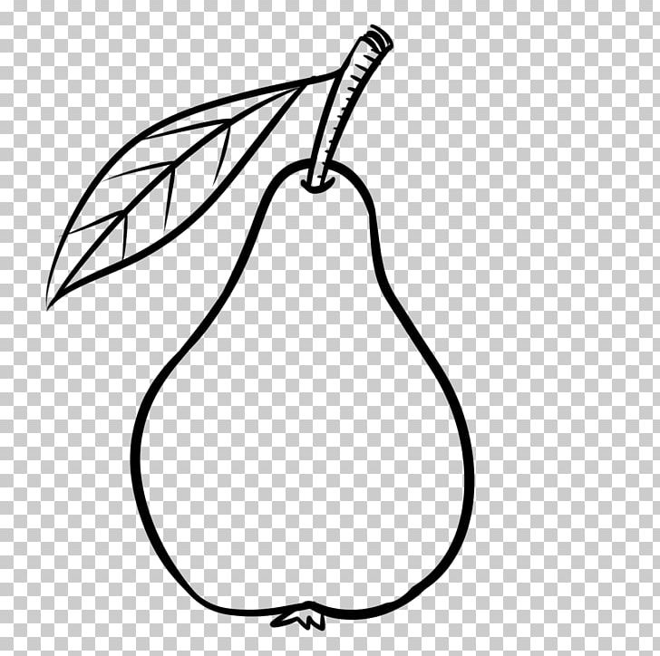 Pear Drawing Food Fruit PNG, Clipart, Artwork, Beak, Bird, Black And White, Color Free PNG Download