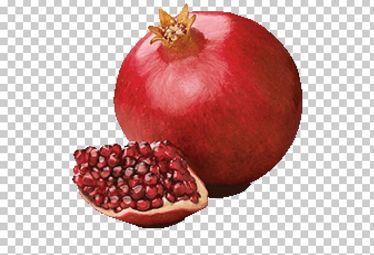 Pomegranate Juice Fruit PNG, Clipart, Accessory Fruit, Christmas Ornament, Computer Icons, Cranberry, Food Free PNG Download