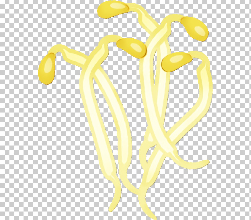 Yellow Joint Line Jewellery Fruit PNG, Clipart, Biology, Fruit, Human Biology, Human Skeleton, Jewellery Free PNG Download