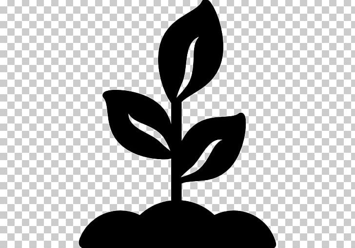 Computer Icons Plant Seedling PNG, Clipart, Artwork, Black And White, Branch, Computer Icons, Flora Free PNG Download