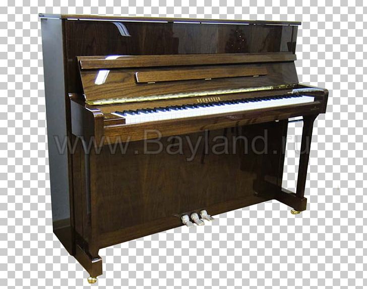 Electric Piano Digital Piano Player Piano Fortepiano PNG, Clipart, B 120, Celesta, Digital Piano, Electric Piano, Electronic Instrument Free PNG Download