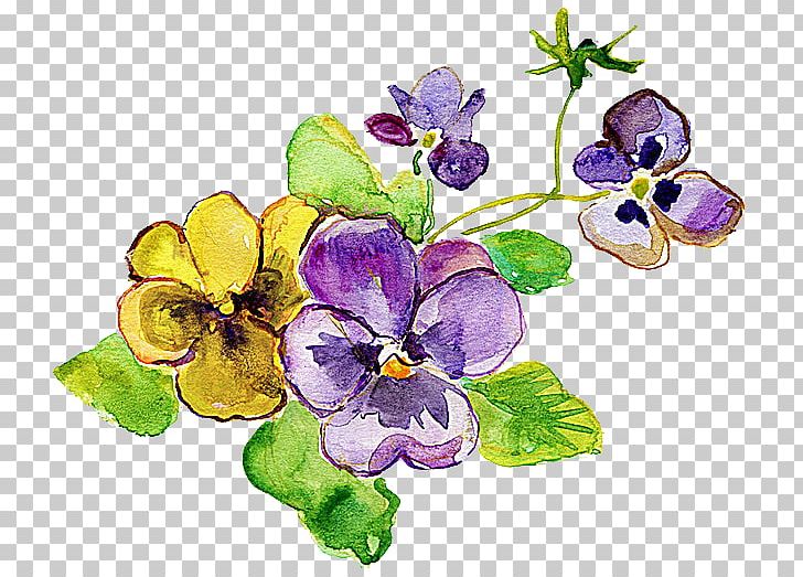 Pansy Violet Flower Yellow Photography PNG, Clipart, Banco De Imagens, Beautiful, Beautiful Flowers, Brig, Bright Free PNG Download
