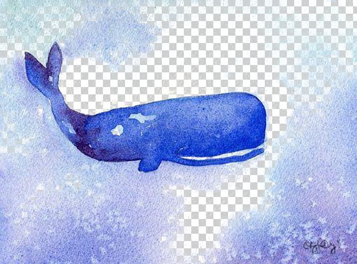 Whale Illustration PNG, Clipart, Animal, Animals, Art, Blue, Cartoon Free PNG Download