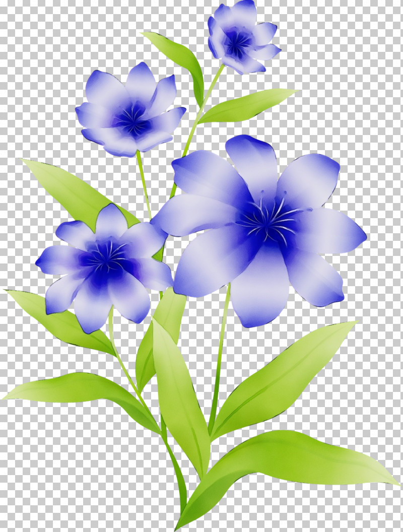 Flower Blue Plant Petal Violet PNG, Clipart, Balloon Flower, Blue, Borage Family, Flower, Forgetmenot Free PNG Download