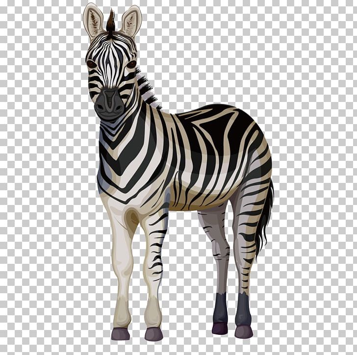 Quagga Horse Zorse Zebra PNG, Clipart, Adobe Illustrator, Animals, Boy Cartoon, Cartoon Character, Cartoon Cloud Free PNG Download