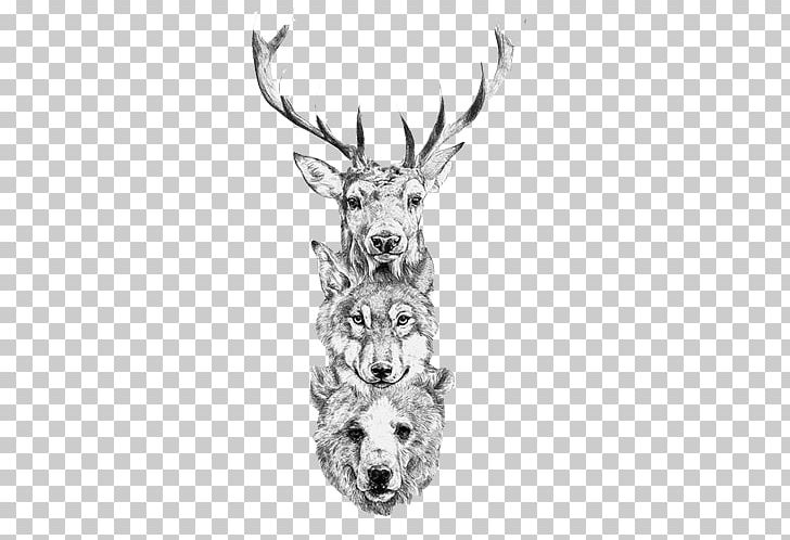Red Deer Bear Gray Wolf Elk PNG, Clipart, Animals, Antler, Black, Black And White, Black And White Painting Free PNG Download