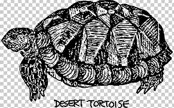 Box Turtles Desert Tortoise Sea Turtle PNG, Clipart, Animal, Animals, Art, Black And White, Box Turtle Free PNG Download