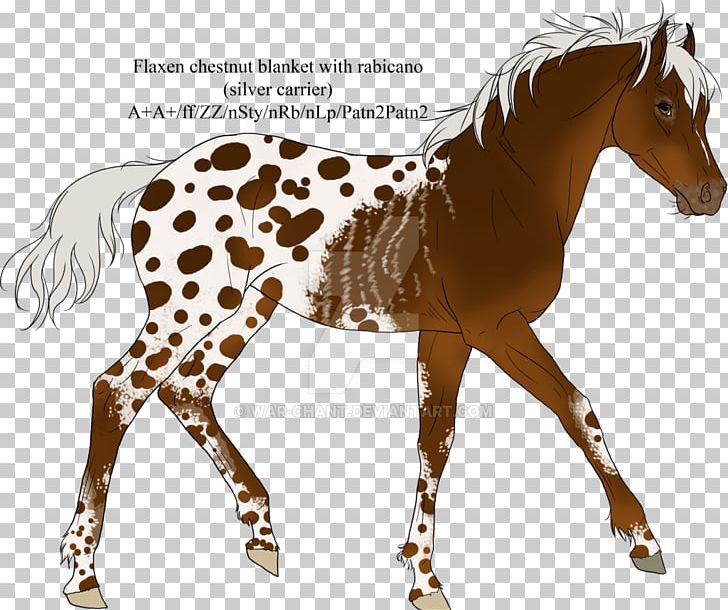 Foal Stallion Mare Mustang Colt PNG, Clipart, Animal, Animal Figure, Bridle, Colt, Foal Free PNG Download