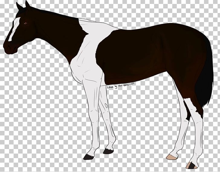 Mustang Stallion Foal Mare Colt PNG, Clipart, Bridle, Colt, Foal, Halter, Horse Free PNG Download