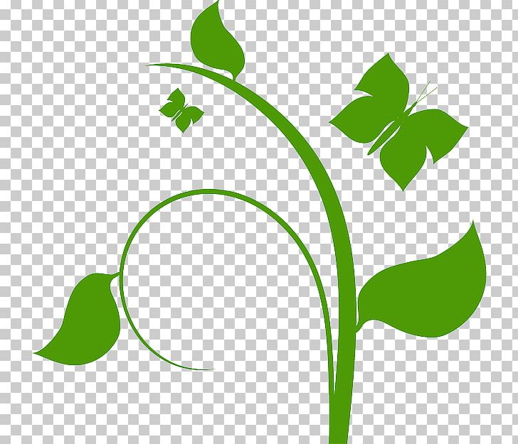 Open Flower Vine Free Content PNG, Clipart, Artwork, Branch, Computer Icons, Desktop Wallpaper, Flora Free PNG Download